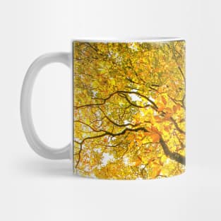 Autumn Leaves - Tree leaves changing colour Mug